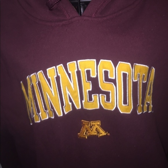 Champion Other - Champion size large Minnesota college burgundy maroon yellow gold hoodie unisex